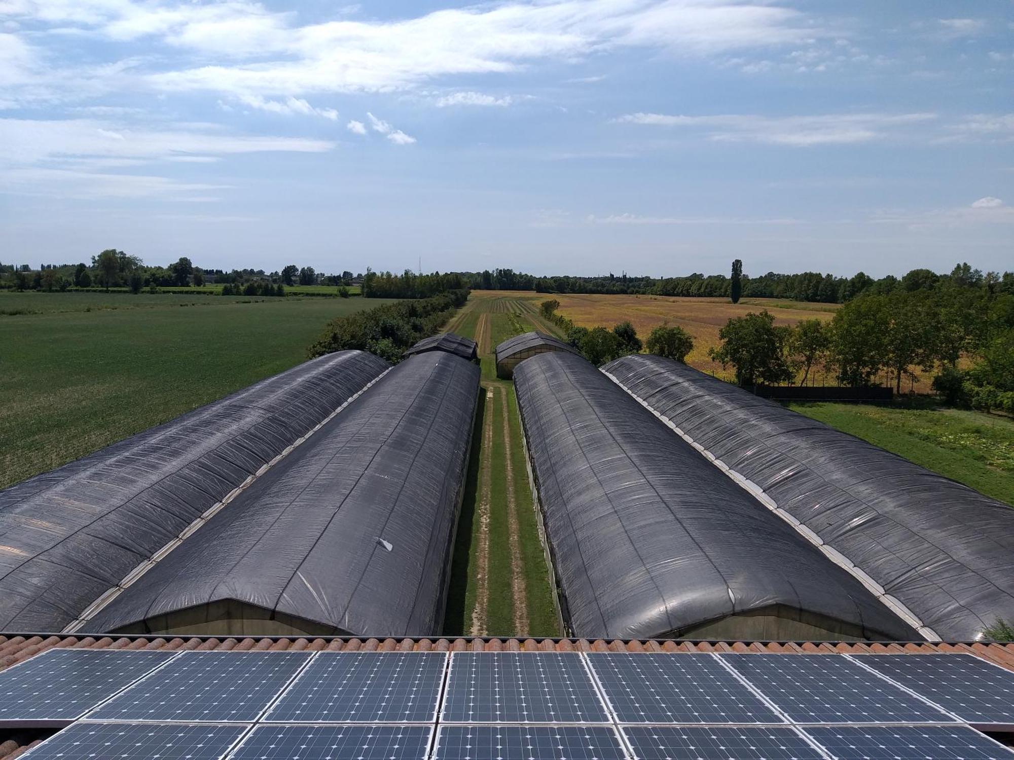 Agriturismo Il Melograno Тессера Экстерьер фото