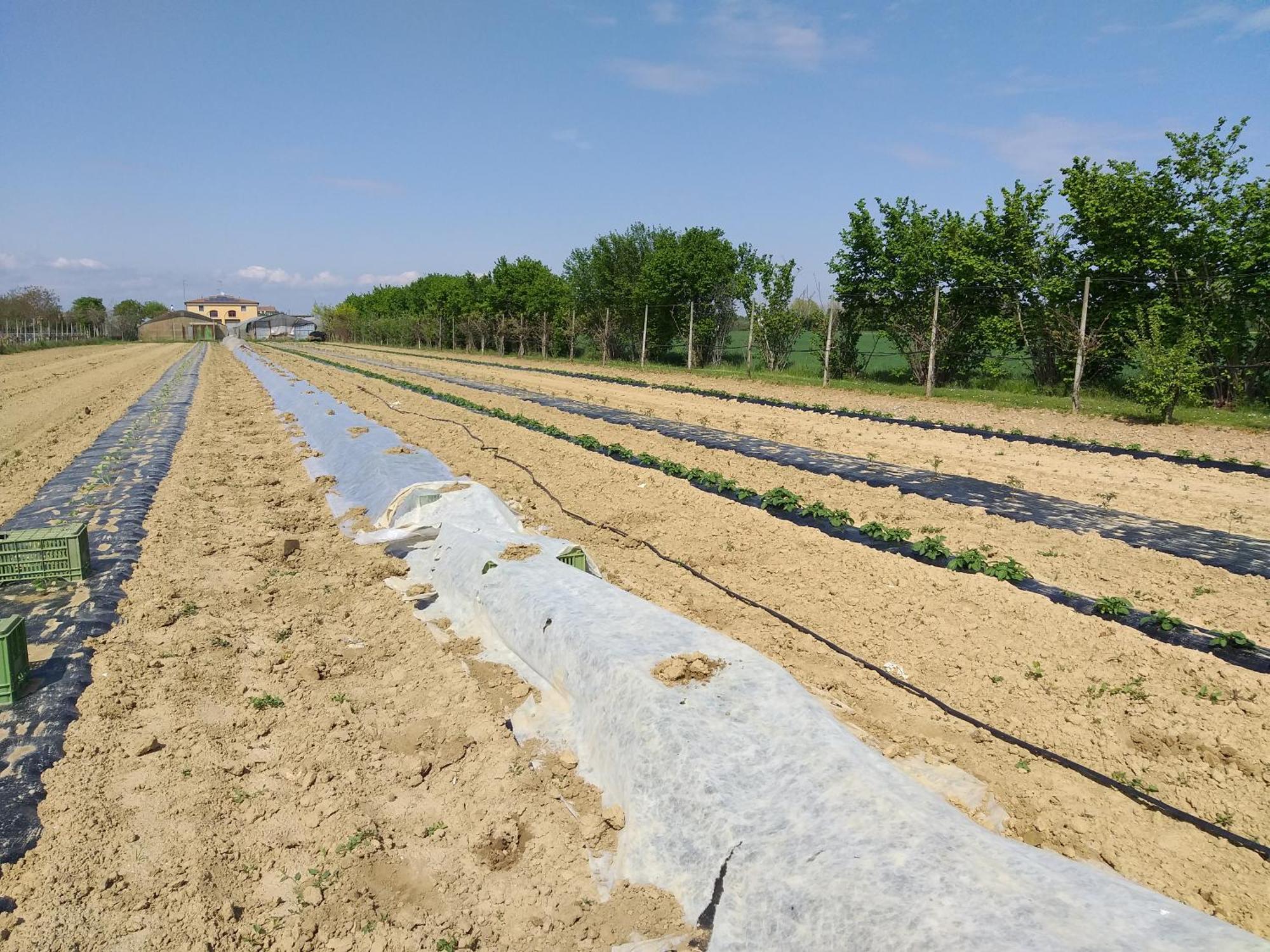 Agriturismo Il Melograno Тессера Экстерьер фото